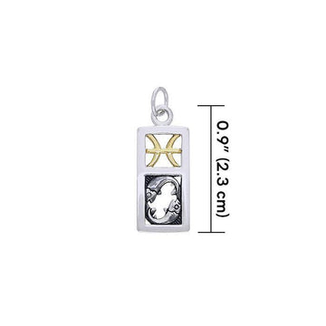 Pisces Silver and 14k Gold accent Charm MCM294 - Jewelry